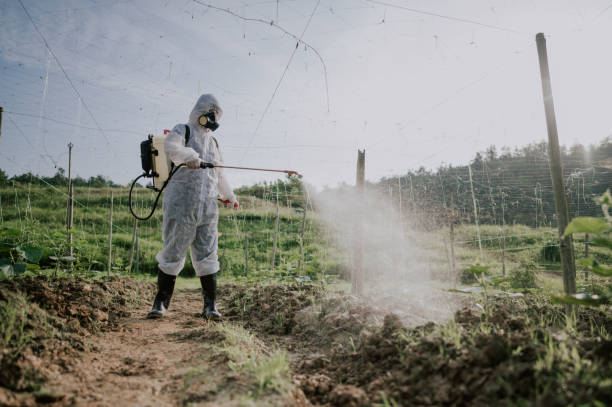 Best Pest Control Cost  in Chester, CA