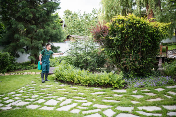 Best Termite Control Services  in Chester, CA
